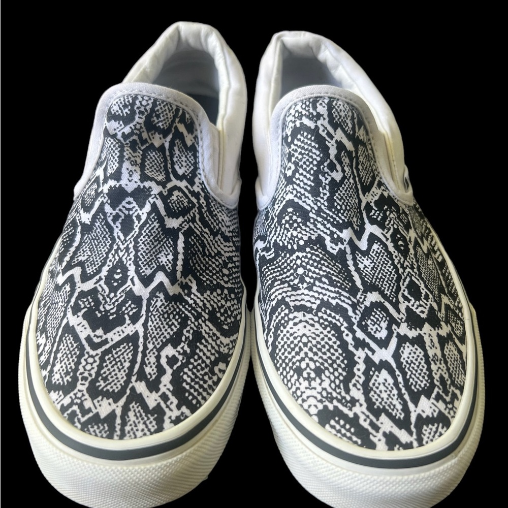 Vans Python Slides